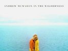Andrew McMahon in the Wilderness - NEW & SEALED VINYL LP - (Jack's Mannequin)
