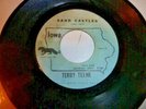 TERRY TEENE SELF RELEASED GARAGE 45, SAND CASTLES & FUN TO BE WITH. IOWA 555-A