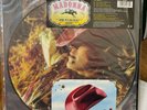 Madonna Music Picture Disc Remix