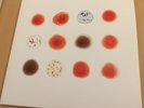  Peter Gabriel Vinyl /Do-LP scratch my back /and i`ll scratch yours-neuwertig