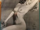 The Smiths - A Nice Bit of Meat LP