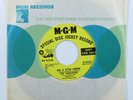 Garage 45 CHEROKEES Dig A Little Deeper MGM VG++/VG+ promo HEAR *