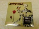 NIRVANA : Incesticide : 2 x 180g Vinyl LP + Download Code (NEW & SEALED)
