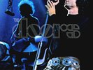 The Doors Absolutely Live double lp