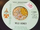 Mod Psych Funk Dance Floor Slammer 45 Wild Honey Wild Sensations HEAR