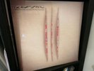 I Am KLOOT - Let it all in / vinyl LP & cd NEW SEALED