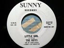 The Riffs - Little Girl / Why Are The Nights So Cold? - Sunny 22 - Promo   ????