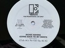 Richie Havens Going Back To My Roots 12” Re-edit Promo AS-11460-1 US 2005