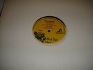 RISCO CONNECTION - SITTING IN THE PARK / VERY RARE REGGAE FUNK 12 INCH  AMAZING