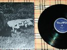 PINK FLOYD PROGRESSIVE ROCK  LP