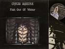 LP CHRIS SQUIRE (YES) FISH OUT OF WATER UK ATLANTIC 1975 + POSTER + INNER SLEEVE
