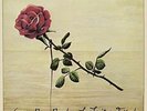 Larry Rose Band-Jupiter Effect The VINYL NUOVO
