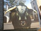 Swervedriver - Mezcal Head Vinyl LP Creation Unplayed