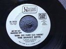THE SHAGGY BOYS - BEHIND THESE STAINED GLASS rare US 1967 DEMO PROMO PSYCH EX++