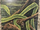 Rainforest Spiritual Enslavement ?– Green Graves Cyan Vinyl Dark Ambient /500
