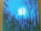 FLYING SAUCER ATTACK..FURTHER..1st press  LP + INSERT..ambient..space .post rock