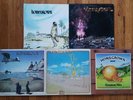 5 San Diego KGB Radio Amateur Homegrown II, III, V, '78, '79 Charity Albums