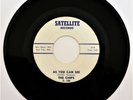 THE CHIPS AS YOU CAN SEE/ MAKE ME FEEL SO GOOD 45 SATELLITE S-105 MOD SOUL FUNK