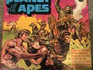 Planet Of The Apes Vinyl Record 33 1/3 LP Album,8147 Vintage 1974