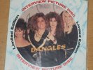 Bangles Interview PICTURE DISC Album. UK Limited Edition. Baktabak Records  RARE
