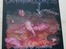 cannibal corpse- spawn of maggots -  lp - coloured - 100 made