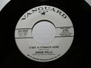 Junior Wells, I Got A Stomach ache b/w Shake It Baby Soul Record 45 VG++