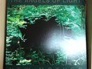 The Angels Of Light ?-  New Mother -  2005 Limited Ed. of 400