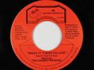 Modern Soul 45 - Chosen Few Band - What It Takes To Live - BR - VG++ mp3