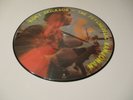 ROCKY ERICKSON FROM THE 13th FLOOR ELEVATORS PSYCH BANJOMAN PICTURE DISC