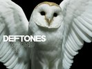 Brand New DEFTONES Diamond Eyes White Vinyl LP Album