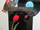 LP - A FLOCK OF SEAGULLS - THE STORY OF A YOUNG HEART (WASHED)