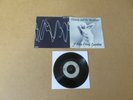 SIOUXSIE AND THE BANSHEES Hong Kong Garden UK 1ST PRESSING 7