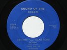 TONTO & RENEGADES Anytime You Want Some Lovin' 7” 45 Michigan garage Dick Wagner