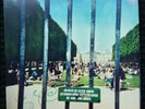 Tame Impala - Lonerism - Signed - vinyl 2LP