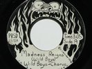 WILD BOYS Madness Reigns 7” 45 1973 private press Michigan garage psych rock