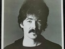 John Prine - Bruised Orange - WLP - Asylum Records - 6E-139