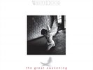 White Door-Great Awakening VINYL NEW