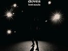 Doves-Lost Souls (UK IMPORT) VINYL NEW