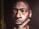 ROCK, Pete - Petestrumentals 2 - Vinyl (gatefold 2xLP + MP3 download code)