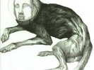 Thee Oh Sees - Putrifiers II  (New Vinyl LP)