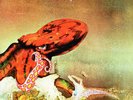 LP GENTLE GIANT ?– Octopus (TAPESTRY/EUR)  Reissue M/M FOC