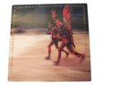 The Rhythm of the Saints [LP] by Paul Simon (Vinyl, Oct-1990, Warner Bros. Reco…