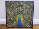 The Bluetones - Expecting to Fly - original vinyl (Superior Quality, 1996)