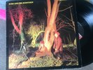 ECHO AND THE BUNNYMEN / CROCODILES / ORIGINAL 1980 LP / VINYL ALBUM