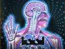 TOOL 2LP Lateralus (Red Vinyl) A Perfect Circle MINT / RARE / NEW