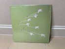 MODEST MOUSE Good News For People Who Love Bad News EPIC 2xLP 1st pressing 180g