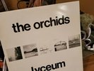 The ORCHIDS: 'Lyceum' 10
