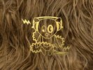 SUPER FURRY ANIMALS - SUPER FURRY ANIMALS - ID4z - vinyl LP4