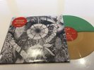 Thee Oh Sees Dog Poison candy Apple / Butterscotch mail order only Vinyl LP Mint
