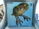 BRAINCHILD - HEALING OF THE LUNATIC OWL - 1st PRESS - UK